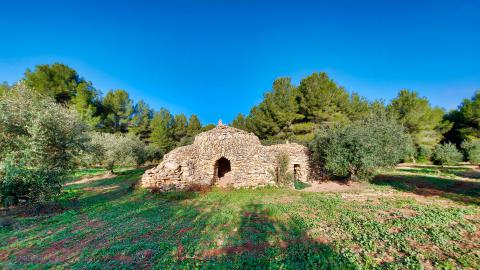 La Barraca de les Oliveres, recent restaurada